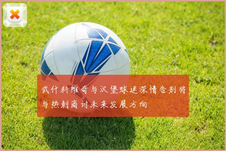 武什科维奇与汉堡球迷深情告别将与热刺商讨未来发展方向