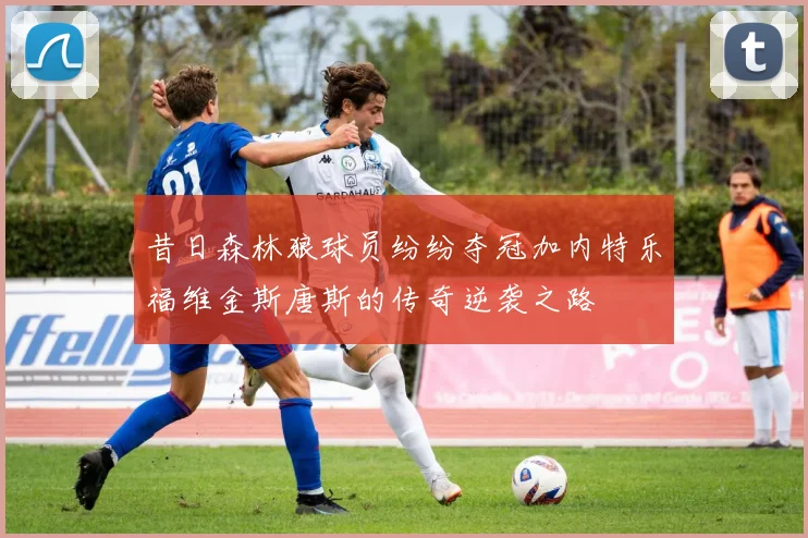 昔日森林狼球员纷纷夺冠加内特乐福维金斯唐斯的传奇逆袭之路